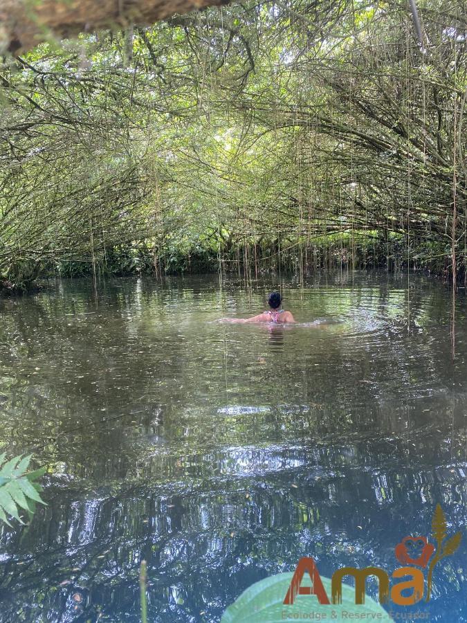 Ama Ecolodge Puerto Misahuallí Εξωτερικό φωτογραφία