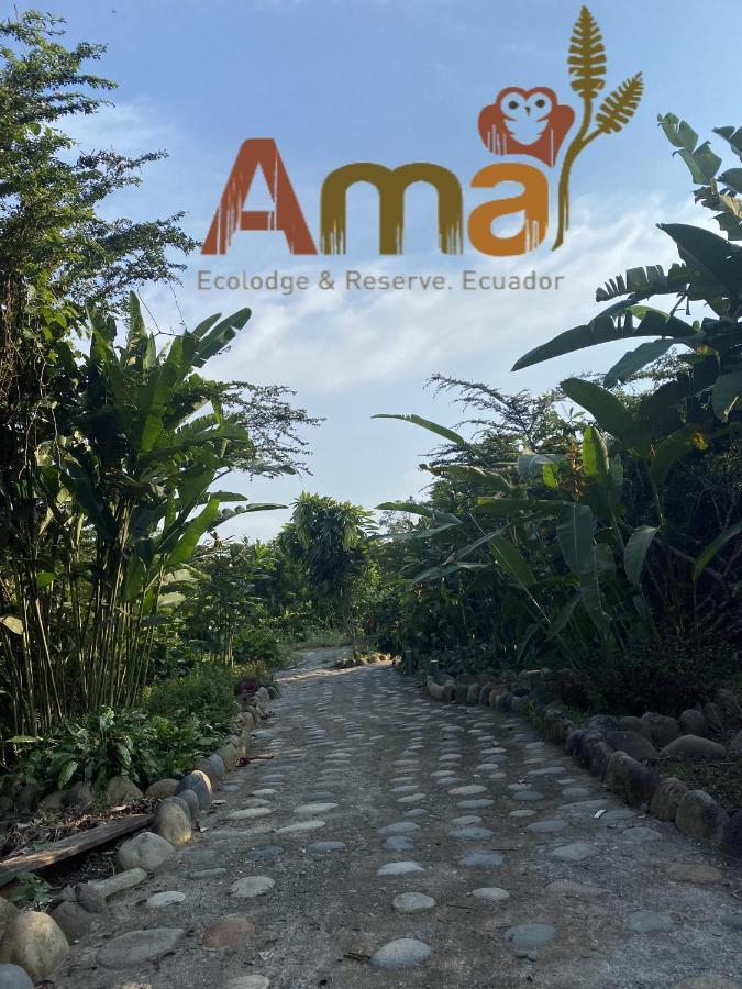 Ama Ecolodge Puerto Misahuallí Εξωτερικό φωτογραφία