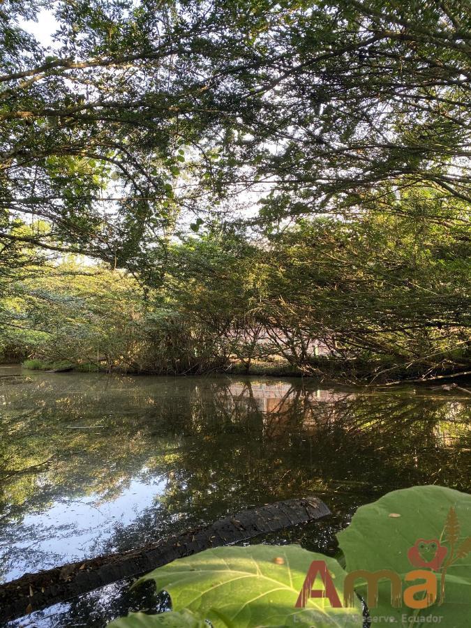 Ama Ecolodge Puerto Misahuallí Εξωτερικό φωτογραφία